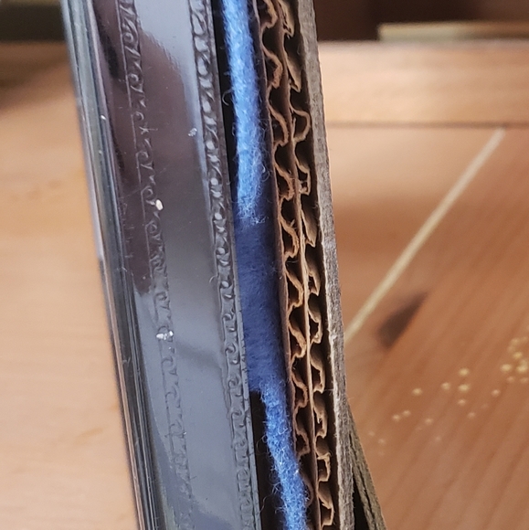 Sand Dollar and Shell Shadowbox From Mexico - Picture 4 of 5